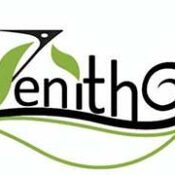 Zenith Arts & Craft | Handmade Crochet, Art & Gifts in Grenada